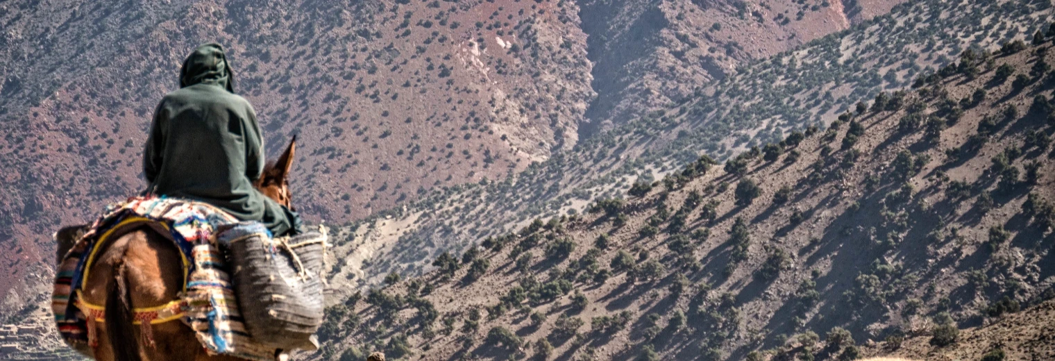 Trekking en Marruecos - Trek de 2 Días Desde Marrakech