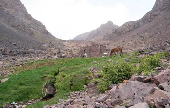 Toubkal Ascent & Berber Villages Trek